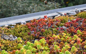 the cost of Garrygualach green roof installation