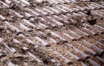 Garrygualach roof cleaning companies