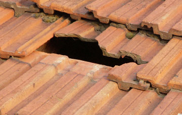 roof repair Garrygualach, Highland